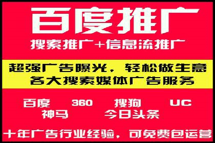 搜索引擎营销（SEM）专员的挑战与机遇